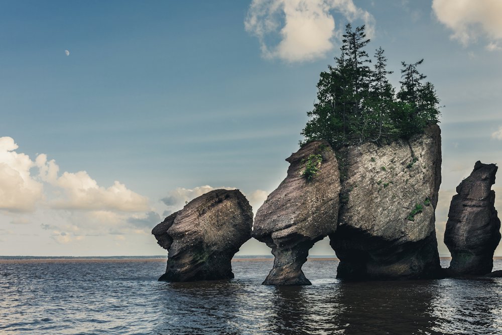 Hopewell Rocks & Bay of Fundy Tour from Moncton – Moncton, New Brunswick