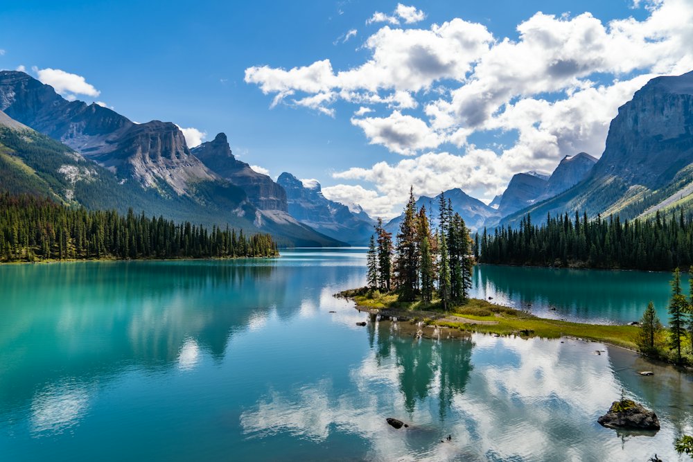 Jasper Wildlife & Maligne Lake Tour – Jasper, Alberta